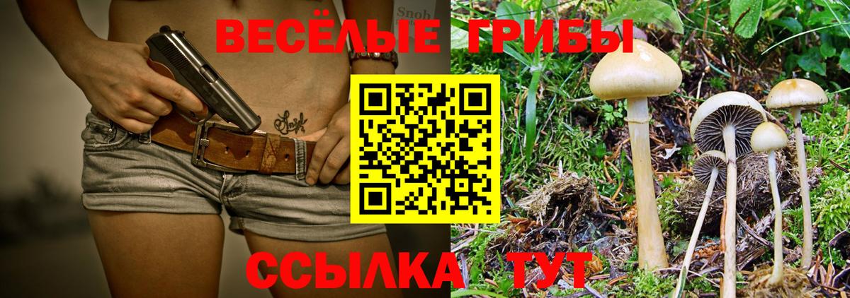 Ковров  Псилоцибиновые грибы прущие грибы  Вход с VPN 